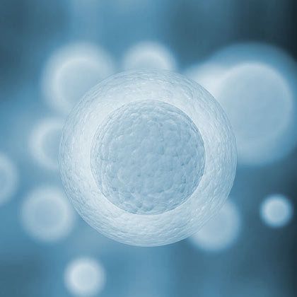 Fertility Clinic Lubbock Tx The Centre For Reproductive Medicine