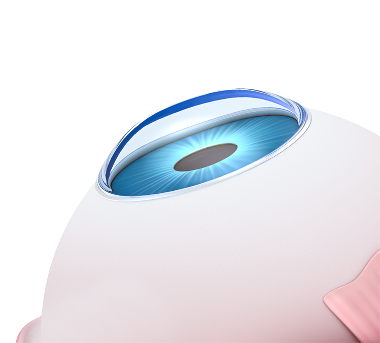 LASIK Eye Surgery Erie, PA Contemporary Ophthalmology Of Erie