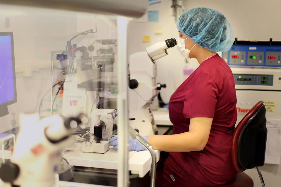laboratory technician
