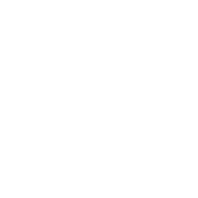 Speaking consulting network logo