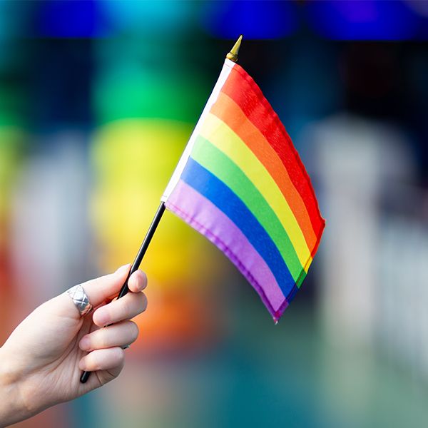 Rainbow flag