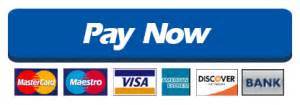 Pay now; Visa; Mastercard; Maestro; American Express; Discover; Bank