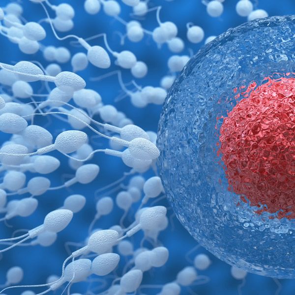 Intrauterine Insemination (IUI)