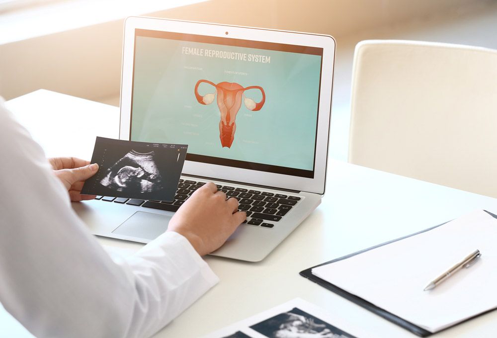 Doctor holding ultrasound in front of monitor