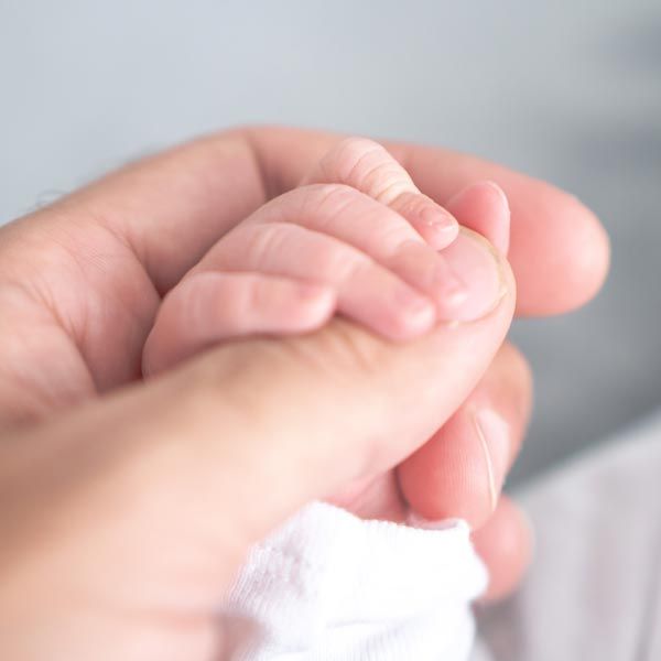 Baby's hand in adult's