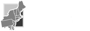 NESP logo
